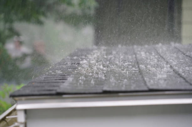 Best Storm Damage Roof Repair  in Martinsburg, WV