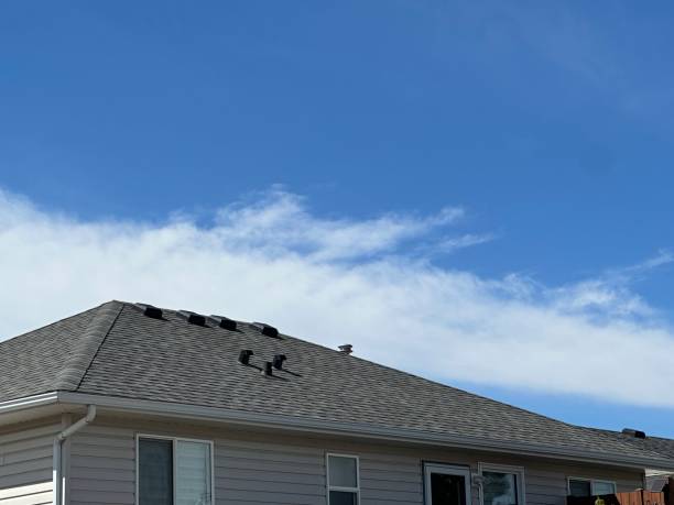 Best Roof Ventilation Installation  in Martinsburg, WV